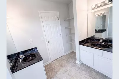 272 Cape Jasmine Way, Lexington, SC 29073 - Photo 27
