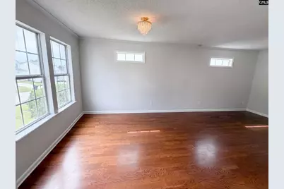 272 Cape Jasmine Way, Lexington, SC 29073 - Photo 3