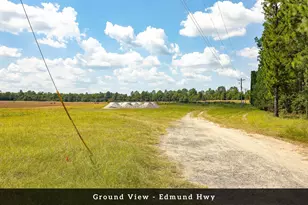 8004 Edmund Hwy, Pelion, SC 29123 - Photo 21