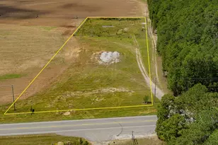 8004 Edmund Hwy, Pelion, SC 29123 - Photo 9
