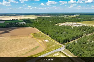 8004 Edmund Hwy, Pelion, SC 29123 - Photo 5
