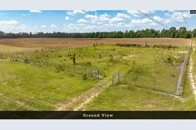 8004 Edmund, Pelion, SC 29123 - Photo 17