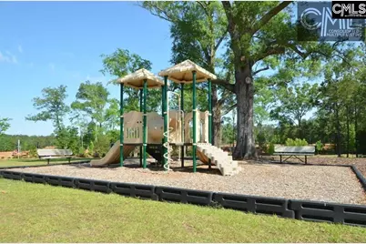 534 Eagles Rest Drive, Chapin, SC 29036 - Photo 29