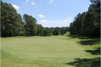 18 Alumni Lane, Blythewood, SC 29016 - Photo 69