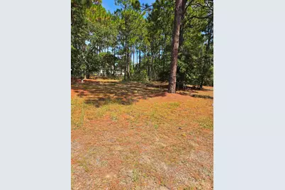 220 Branch Hill Drive, Elgin, SC 29045 - Photo 3