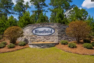 3114 Cauthon Ct, Lexington, SC 29073 - Photo 59