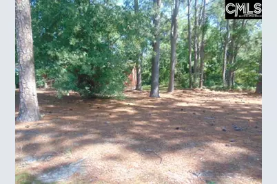 219 Walter Taylor Road, Gilbert, SC 29054 - Photo 23