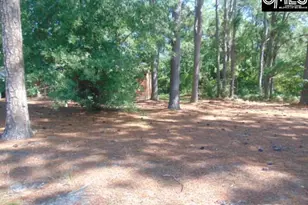 219 Walter Taylor Rd, Gilbert, SC 29054 - Photo 23