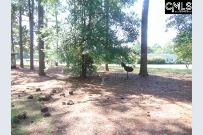 219 Walter Taylor Road, Gilbert, SC 29054 - Photo 25