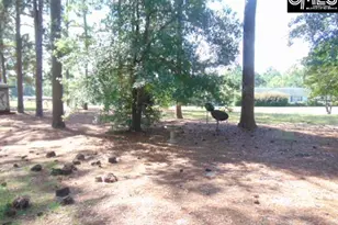 219 Walter Taylor Rd, Gilbert, SC 29054 - Photo 25