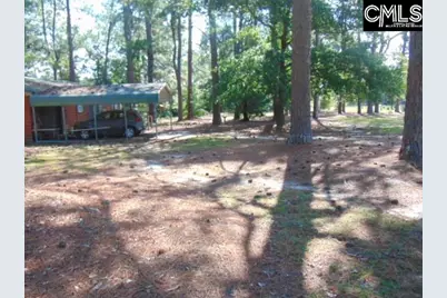 219 Walter Taylor Road, Gilbert, SC 29054 - Photo 21