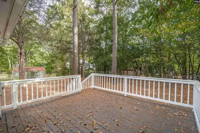 1411 Chadford Road, Irmo, SC 29063 - Photo 29