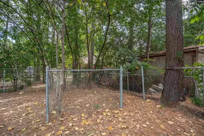 1411 Chadford Road, Irmo, SC 29063 - Photo 35