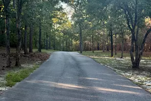 0 Edisto Lake Rd, Wagener, SC 29164 - Photo 3