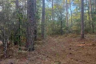 0 Edisto Lake Rd, Wagener, SC 29164 - Photo 7