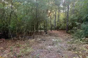 0 Edisto Lake Rd, Wagener, SC 29164 - Photo 11
