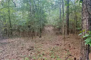 0 Edisto Lake Rd, Wagener, SC 29164 - Photo 13