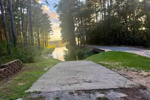 0 Edisto Lake Rd, Wagener, SC 29164 - Photo 17