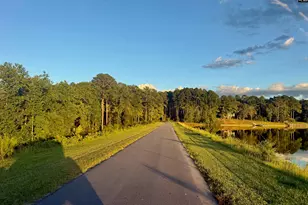 0 Edisto Lake Rd, Wagener, SC 29164 - Photo 23