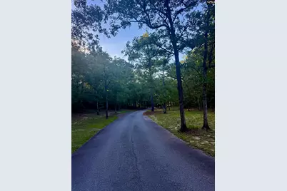 0 Edisto Lake Road #104, Wagener, SC 29164 - Photo 5