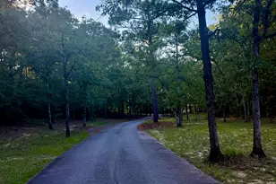 0 Edisto Lake Rd, Wagener, SC 29164 - Photo 5