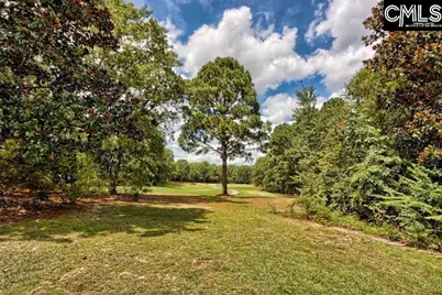 209 Valhalla Drive, Columbia, SC 29229 - Photo 53