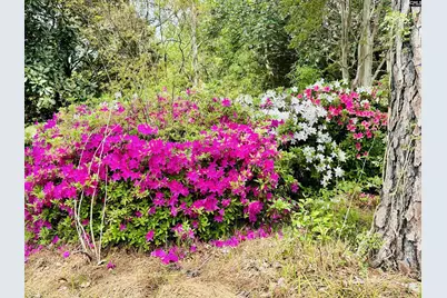 125 Lincoln Inn Road, Columbia, SC 29212 - Photo 3