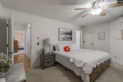346 Smallwood Drive, Chapin, SC 29036 - Photo 19