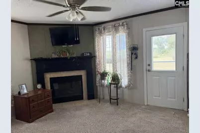 236 Cauthen, Heath Springs, SC 29058 - Photo 11