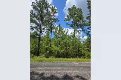 2374 Mount Hebron Road 1, Cassatt, SC 29032 - Photo 1