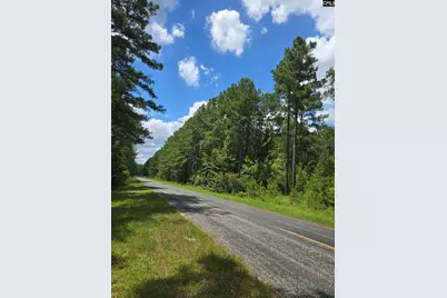 2374 Mount Hebron Road 1, Cassatt, SC 29032 - Photo 3