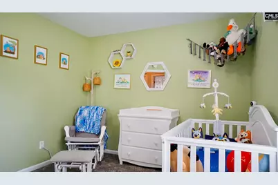 220 Riglaw Circle, Lexington, SC 29073 - Photo 19