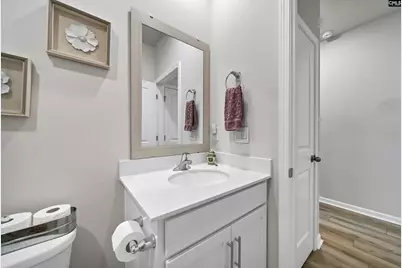 253 Blue Valley Court, Columbia, SC 29203 - Photo 19