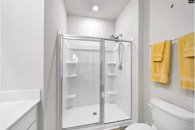 253 Blue Valley Court, Columbia, SC 29203 - Photo 11