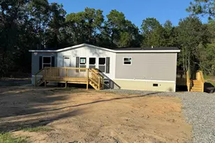 669 Clay Hill Rd, Pelion, SC 29123 - Photo 1
