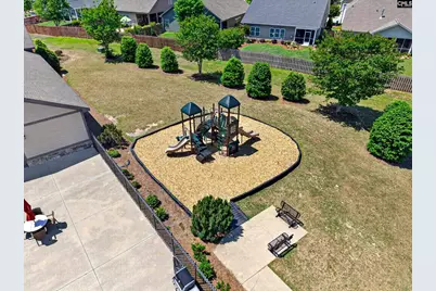 436 Maria Posada Court, Chapin, SC 29036 - Photo 71