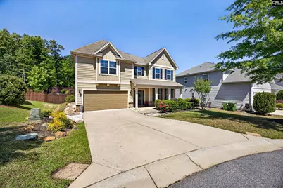 436 Maria Posada Court, Chapin, SC 29036 - Photo 3