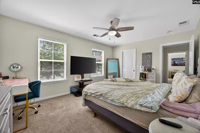 436 Maria Posada Court, Chapin, SC 29036 - Photo 41