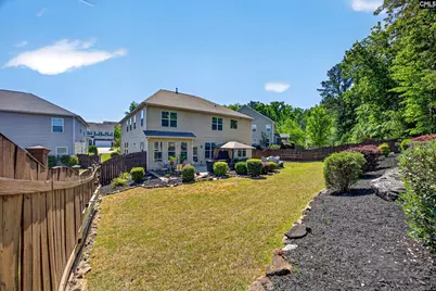 436 Maria Posada Court, Chapin, SC 29036 - Photo 55