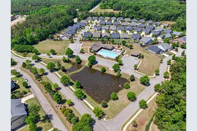 436 Maria Posada Court, Chapin, SC 29036 - Photo 67