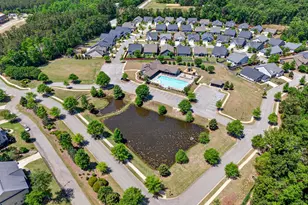 436 Maria Posada Ct, Chapin, SC 29036 - Photo 67