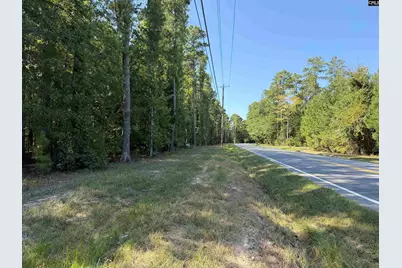 367 Murray Lindler Road, Chapin, SC 29036 - Photo 1