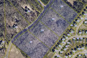 379 Murray Lindler Rd, Chapin, SC 29036 - Photo 5