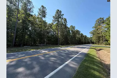 379 Murray Lindler Road, Chapin, SC 29036 - Photo 3