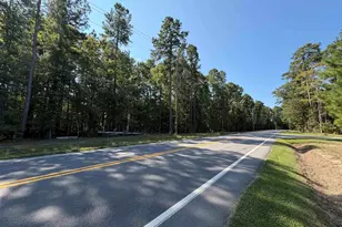 379 Murray Lindler Rd, Chapin, SC 29036 - Photo 3