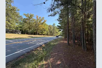 427 Murray Lindler Road, Chapin, SC 29036 - Photo 3