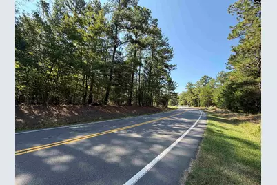 427 Murray Lindler Road, Chapin, SC 29036 - Photo 1