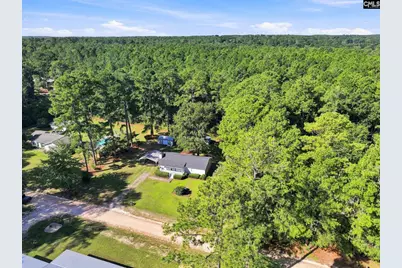 132 Fox Street, Gilbert, SC 29054 - Photo 3