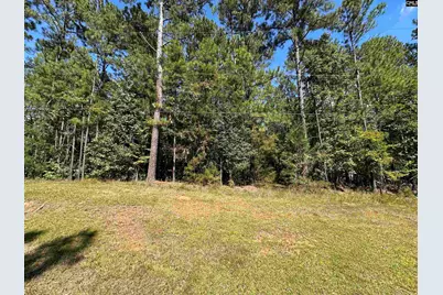 143 Eagle Chase Court #5, Chapin, SC 29036 - Photo 5