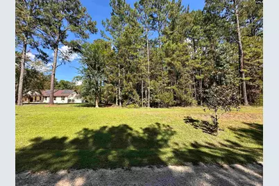 143 Eagle Chase Court #5, Chapin, SC 29036 - Photo 3